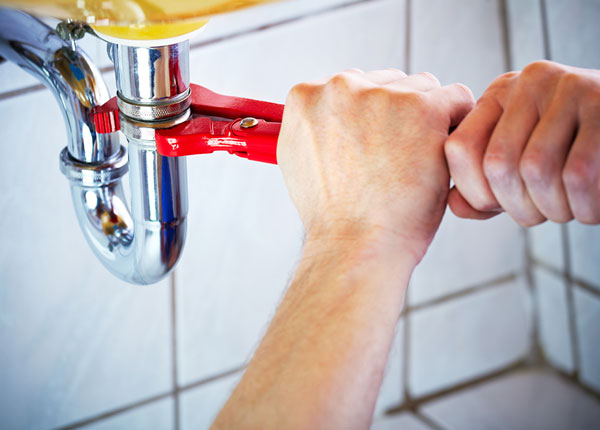 About Silver Grove Plumbers